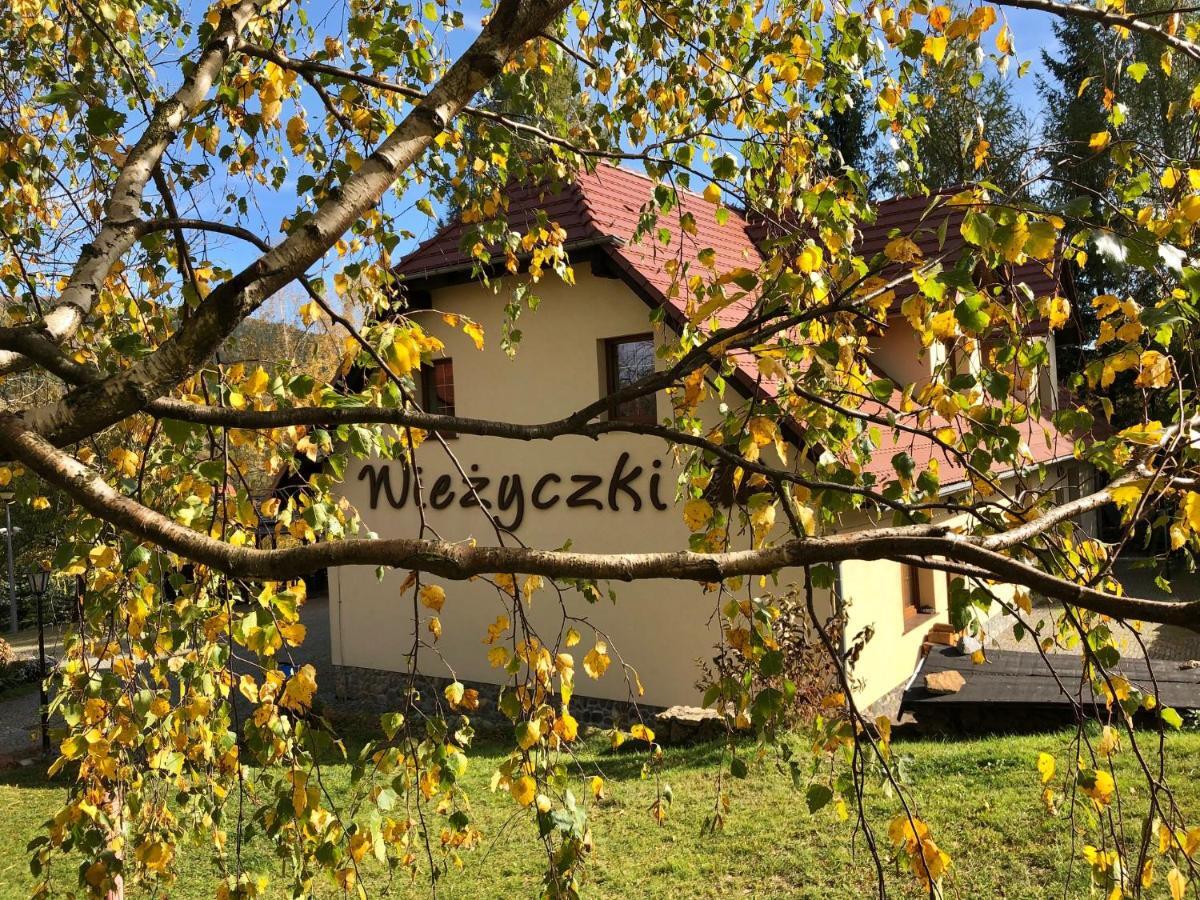 Willa Wiezyczki Świeradów-Zdrój 外观 照片